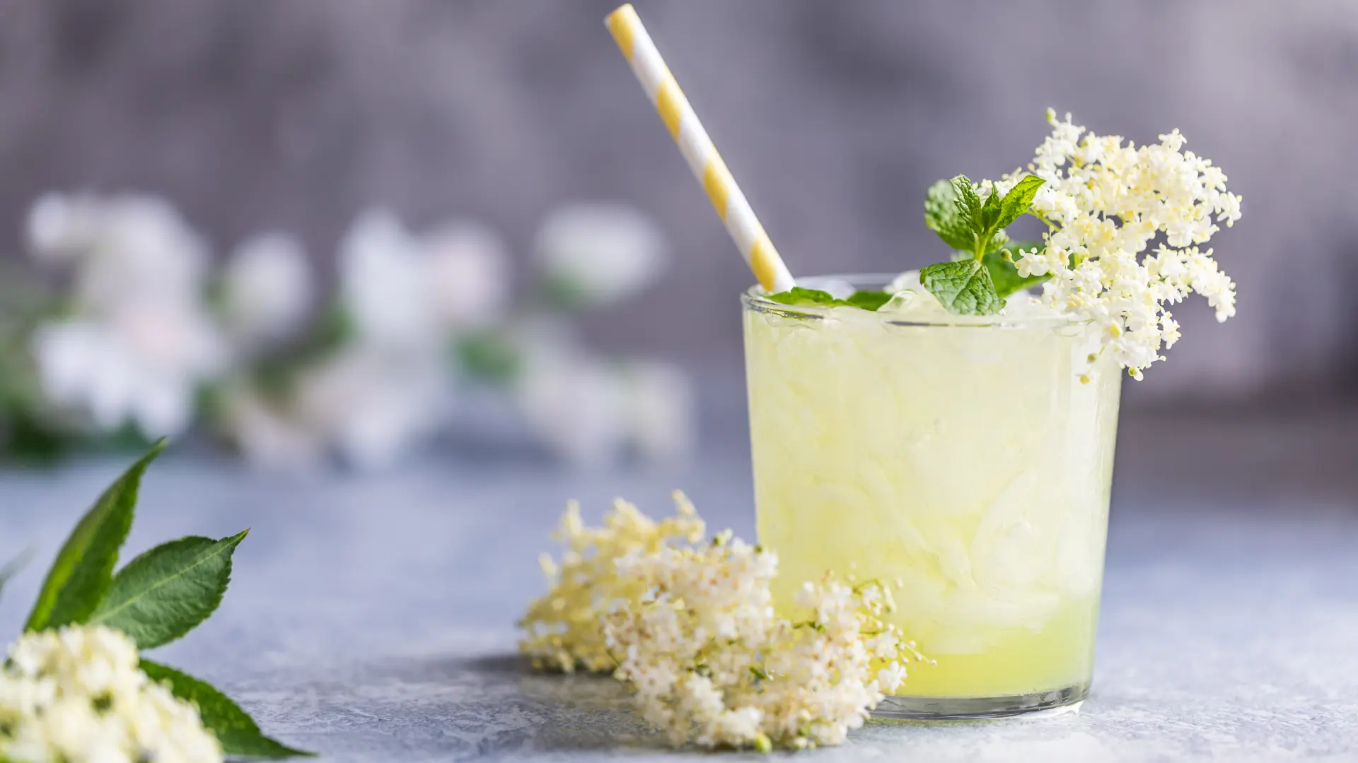 Kako da napravite sirup od zove: Starinski recept za osveženje iz ...